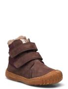 Bisgaard Helton Tex Brown Bisgaard