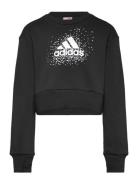 Jg Glm Crew Black Adidas Sportswear