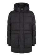 Long Hooded Quilt Puffer Mw Black Calvin Klein