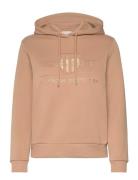 Reg Tonal Shield Hoodie Brown GANT