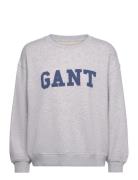 Graphic C-Neck Sweat Grey GANT