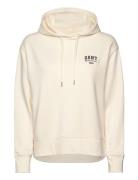 Small Graphic Hoodie Cream GANT