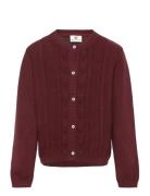 Cardigan Knit Burgundy En Fant