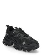 Prize Sneaker Black Steve Madden