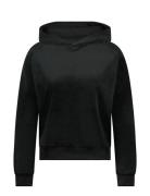 Hoody Ls Velours Black Hunkemöller