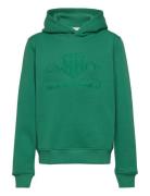 Tonal Shield Hoodie Green GANT