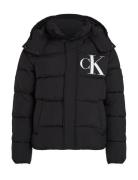 Essentials Non Down Jacket Black Calvin Klein Jeans