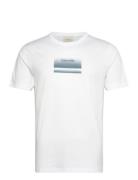 Gradient Logo T-Shirt White Calvin Klein