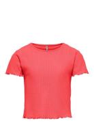 Kognella S/S O-Neck Top Noos Jrs Red Kids Only