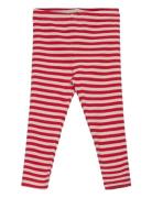 Tnstfro Uni Rib Leggings Red The New