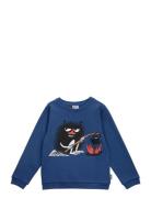 Stinky Collegetröja Ss25 Blue Martinex