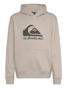 Big Logo Hoodie Youth Beige Quiksilver