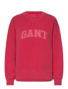 Arch C-Neck Sweat Pink GANT