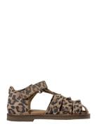 Eliyask Sandal Beige Sofie Schnoor Baby And Kids