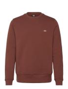M Oakport Sweatshirt Brown Dickies