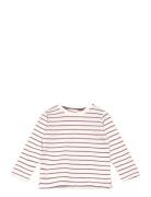 Striped Cotton T-Shirt White Mango