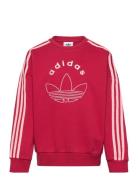 Crew Red Adidas Originals