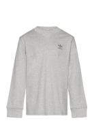 Long Sleeve Grey Adidas Originals