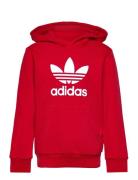 Trefoil Hoodie Red Adidas Originals