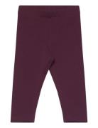 Leggings Brushed Inside Basic Purple Lindex