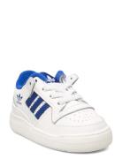 Forum Low Cl El I White Adidas Originals