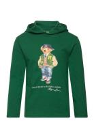 Polo Bear Cotton Jersey Hooded Tee Green Ralph Lauren Kids