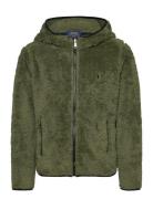 P-Layer 2 Teddy Fleece Jacket Khaki Ralph Lauren Kids