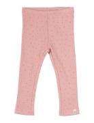 Legging Modal Dot Pink Petit Piao