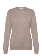 Man O-Neck Plain Beige Davida Cashmere