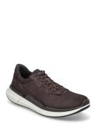 Biom 2.2 M Brown ECCO