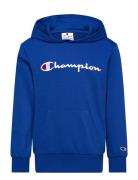 Hooded Sweatshirt Blue Champion