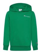 Hooded Sweatshirt Green Champion