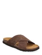 Sl Leon Suede Dk Brown Brown Scholl