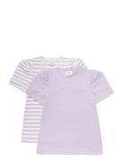 T-Shirt Ss 2-Pack Purple Creamie