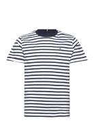 Essential Cotton Reg Tee Ss Navy Tommy Hilfiger