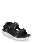 Kaggeboda Black Leaf