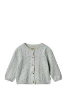 Knit Cardigan Maia Blue Wheat