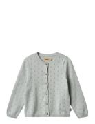 Knit Cardigan Maia Blue Wheat