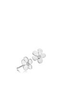 Pansy Silver Izabel Camille