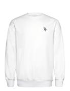 Birk Reg Cw Uspa M Sweat White U.S. Polo Assn.
