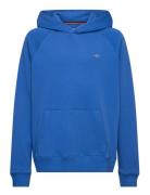 Shield Hoodie Blue GANT