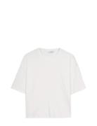 Short Sleeve Jersey, Jenen White Ivo Nikkolo