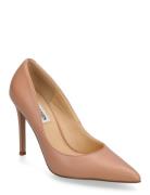 Evelyn-E Beige Steve Madden