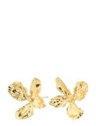 Dream Earrings Gold Pilgrim