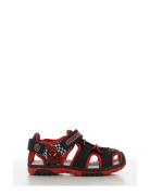Spiderman Sandal Black Leomil
