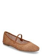 Majorca Ballerina Brown Steve Madden