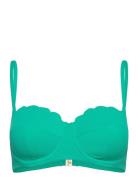 Scallop Pb Green Hunkemöller