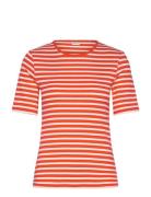 Slim Striped 1X1 Ribbed Ss T-Shirt Orange GANT