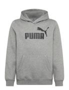 Ess No. 1 Logo Hoodie Fl B Grey PUMA