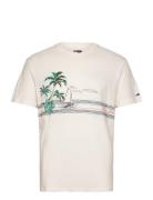 Tjm Reg Palm Sailing Graphic Tee White Tommy Jeans